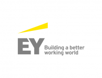professional-services-logo-maker-ey.jpg